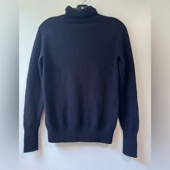 Everlane Cashmere Blue Turtleneck Sweater